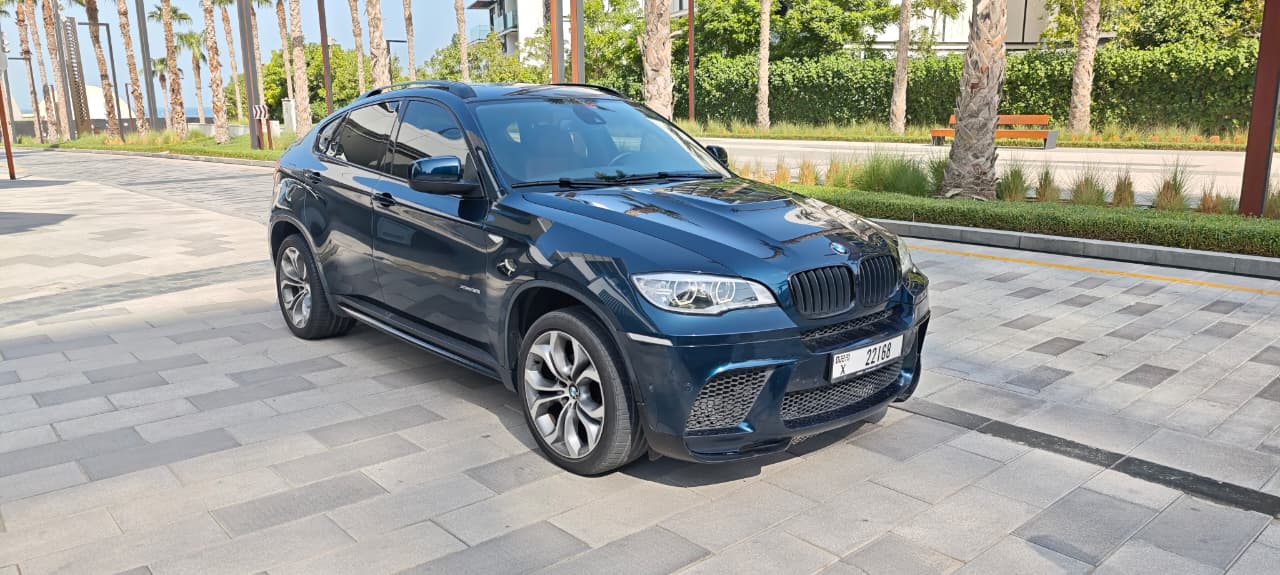 2014 BMW X6 X-Drive 35i 63745900785922110