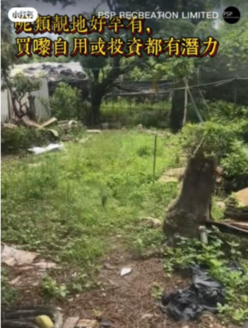 Sai Kung pineapple bun rare REC land use63433492827777113