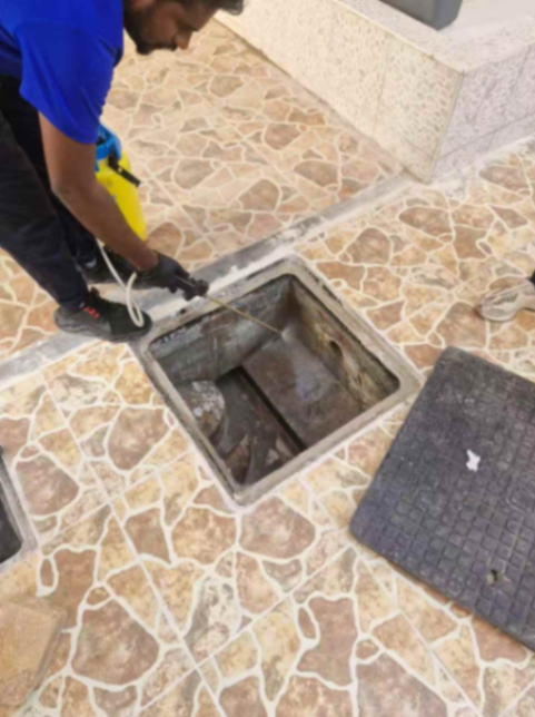 Pest Control Services for Massage Centers, Restaurants, Cafes | Municipality Approved | Contracts Available63206724501121114
