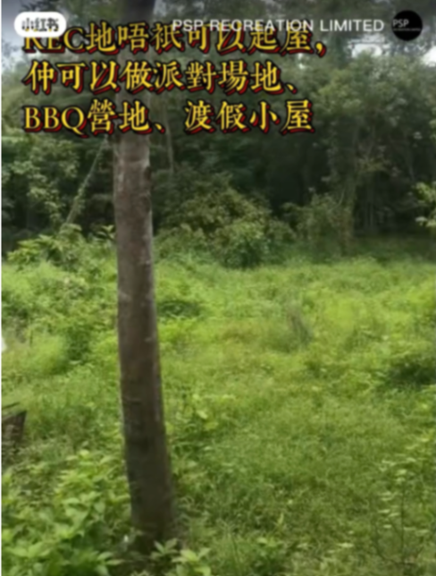 西貢菠蘿車罕有REC用地63433492827777112