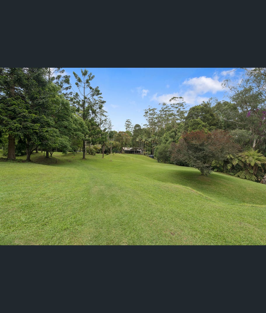 1596 Kalang Road, Bellingen, NSW 2454