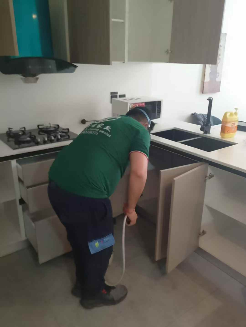 Pest Control Services for Massage Centers, Restaurants, Cafes | Municipality Approved | Contracts Available63206724501121112
