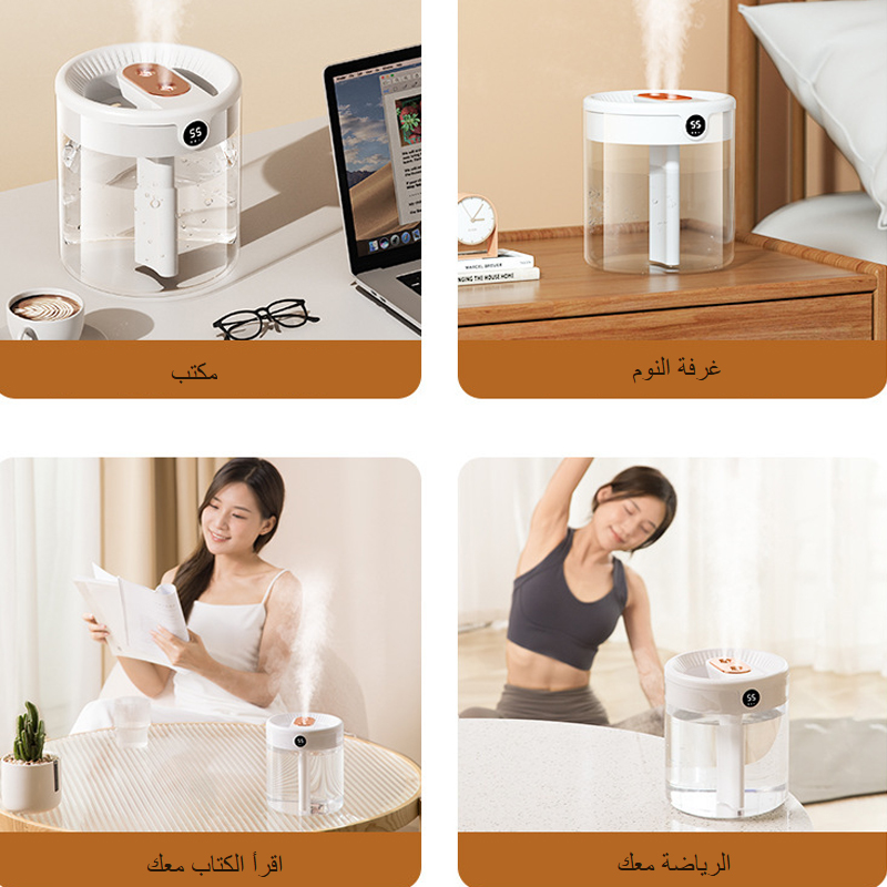 2L Humidifier Bedroom Living Room Automatic Mode Humidity Cold Mist Air Humidifier for Plants  6666020463681009993603114