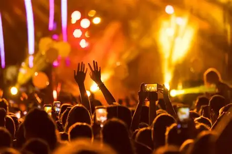 🎵 Looking for a Concert Buddy! 🎵63853859351425110