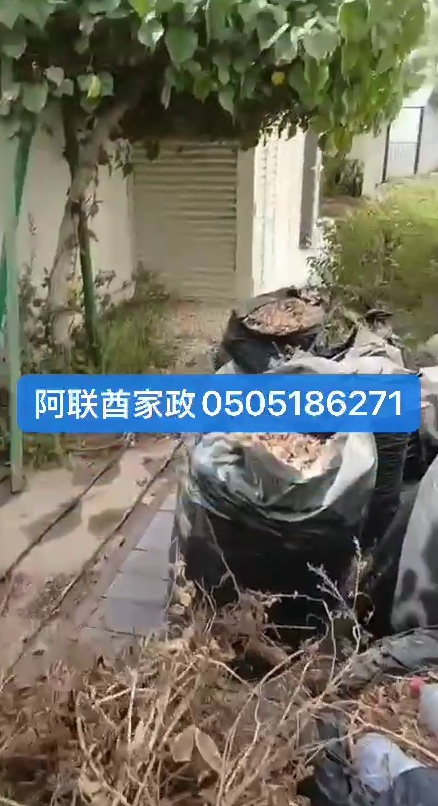 خدمات بستنة فيلا | جز العشب، التقليم، الصيانة والتسميد63206816000257113