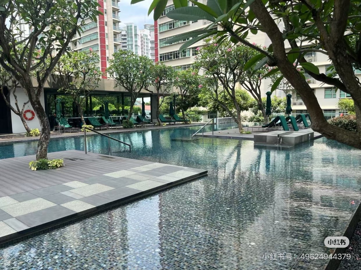 Singapore 🇸🇬 Room Rental at Novena - Available for Viewing and Move-in63702540486659113