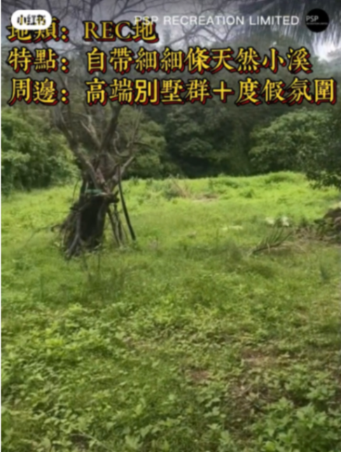 西貢菠蘿車罕有REC用地63433492827777111