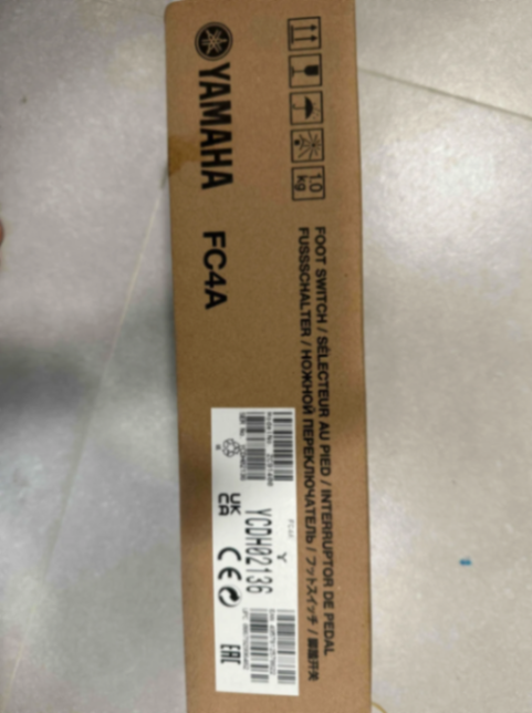 Super New Yamaha Electronic Keyboard + Pedal63314574226563113
