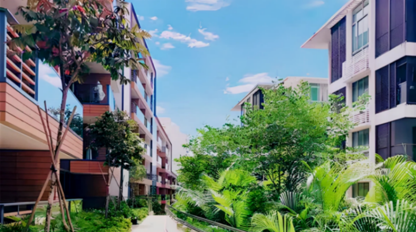 Sophia Hills - X3634157425466901126