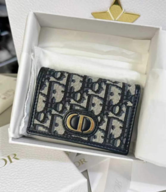 Dior Oblique Canvas Card Holder – Like New | With Box28 Dior Oblique Canvas Card Holder – Like New | With Box632274039961631128