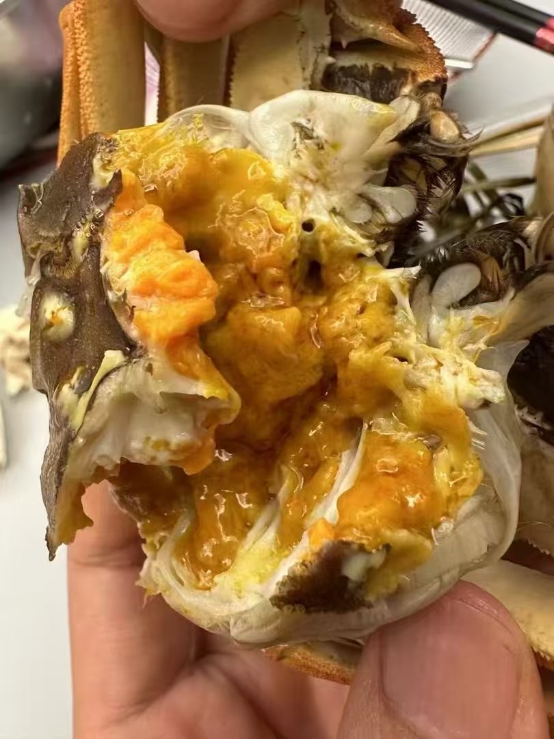 🇭🇰阳澄湖大闸蟹代理  苏州冷链直发深圳各个口岸63743330454274112