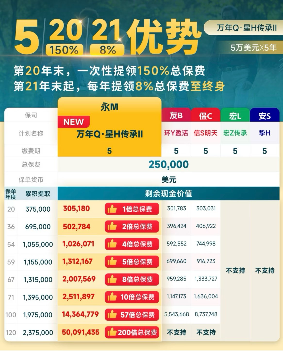 永明•万年青星河传承 II 保险63687585784450111
