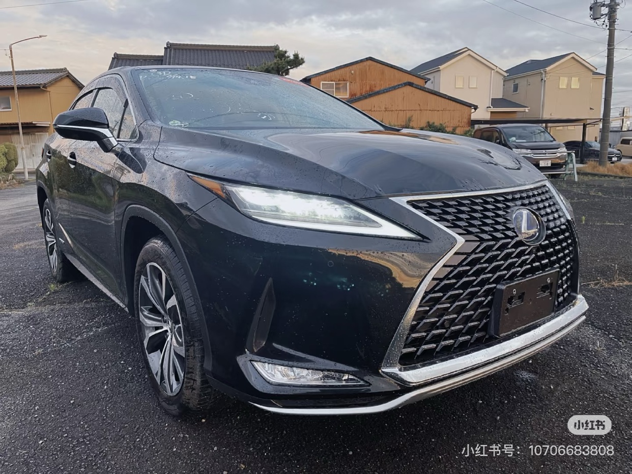 RX450h See you in Dublin64453895685635111