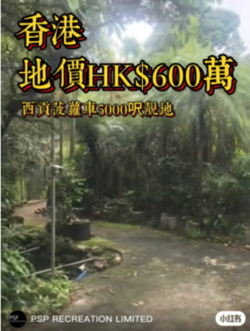 Sai Kung pineapple bun rare REC land use63433492827777110