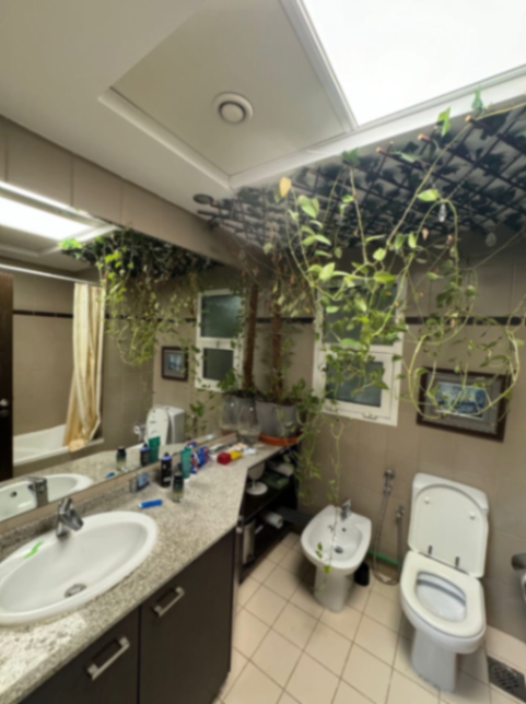 1 bedroom Apartment With Balcony Remraam63449356560771113