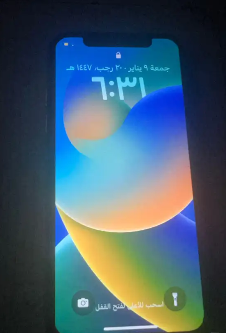 iPhone X65015032973697110
