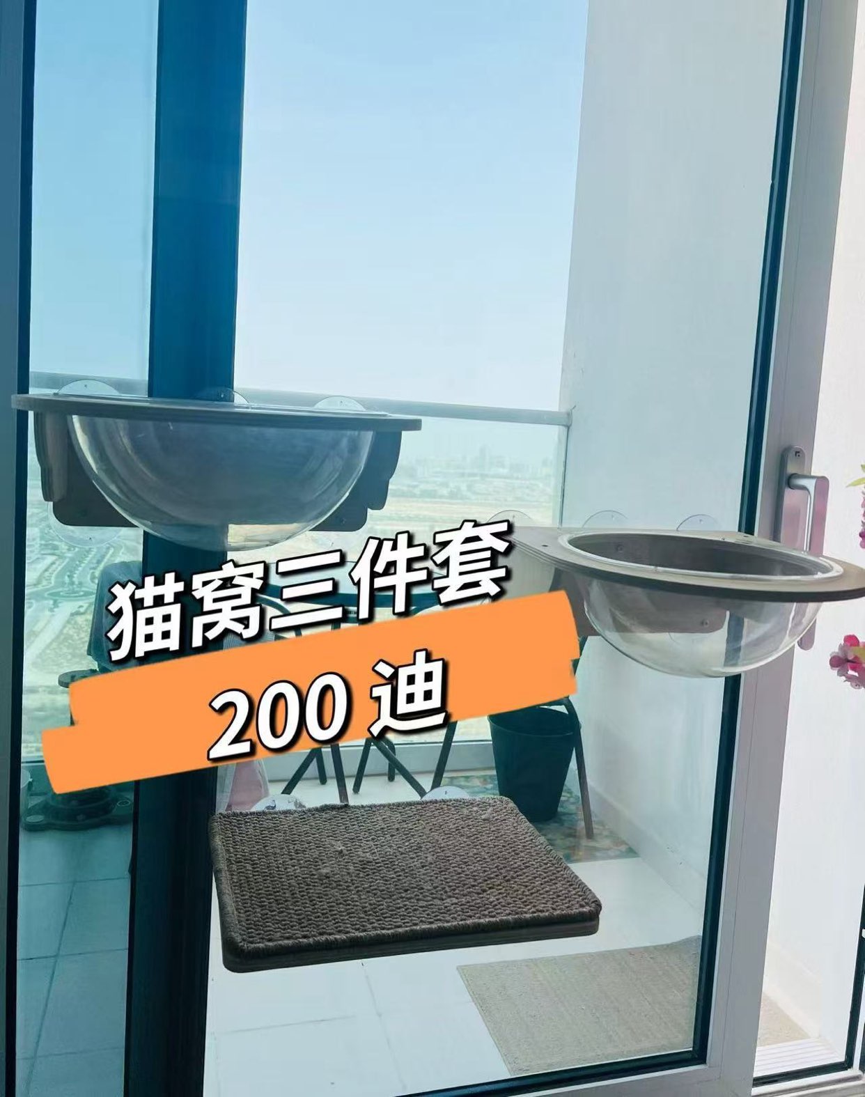 مهد قطة للنافذة64098734813441110