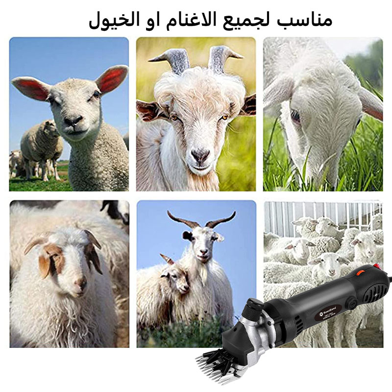 GearZone® New upgraded professional electric wool shears [6 speeds] suitable for various sheep breeds63602096008195113